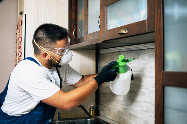 Best Pest Control Near Me  in Stanwood, WA