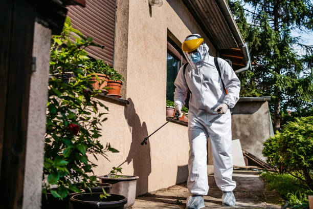 Reliable Stanwood, WA Pest Control Solutions