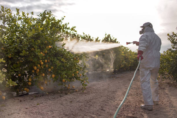 Best Best Pest Control Companies  in Stanwood, WA