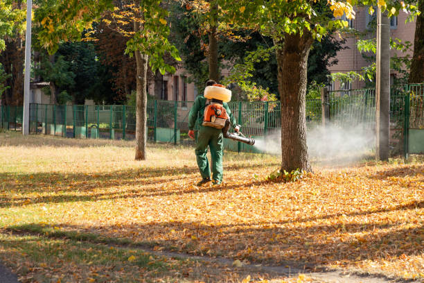 Best Cockroach Control Services  in Stanwood, WA